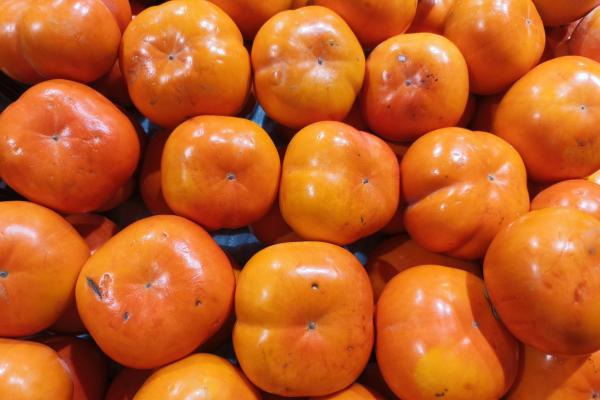 皮炎能不能吃凍柿子-易網<a href=http://m.henggaotouzi.com/ target=_blank class=infotextkey>健康養生</a>網 皮炎能不能吃凍柿子