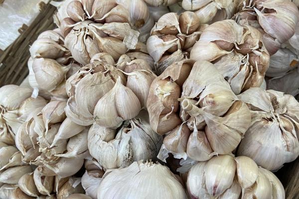 大蒜泡酒的功效與作用、禁忌和食用方法-易網健康<a href=http://m.henggaotouzi.com/jkys/ target=_blank class=infotextkey>養生</a>網 大蒜泡酒的功效與作用、禁忌和食用方法