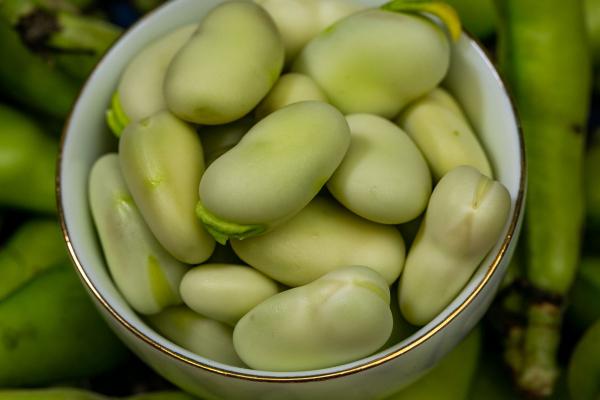 豆瓣醬的功效與作用、禁忌和食用方法