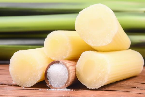 甘蔗的功效與作用、禁忌和食用方法
