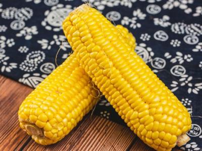 性早熟能不能吃玉米