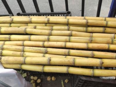 感冒能不能吃甘蔗