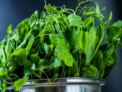 痛風能吃豌豆尖嗎