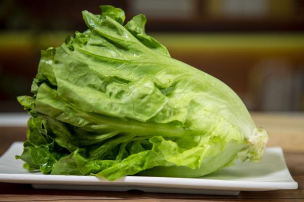 圓生菜的功效與作用、禁忌和食用方法