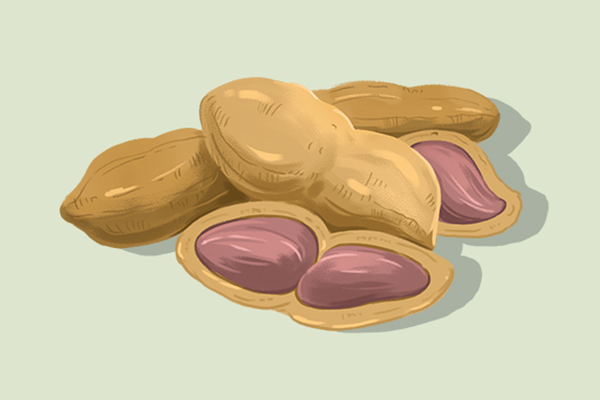 黑花生的功效與作用、禁忌和食用方法-易網(wǎng)<a href=http://m.henggaotouzi.com/ target=_blank class=infotextkey>健康養(yǎng)生</a>網(wǎng) 黑花生的功效與作用、禁忌和食用方法