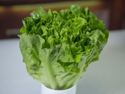 圓生菜的功效與作用、禁忌和食用方法