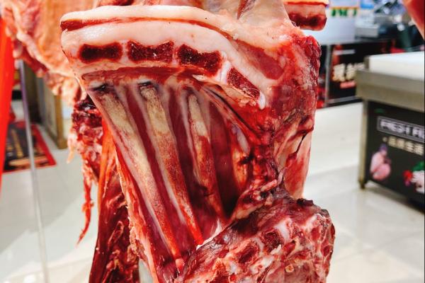 高尿酸血癥能不能吃羊肉