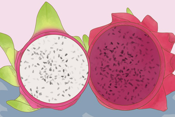 紅心火龍果的功效與作用、禁忌和食用方法