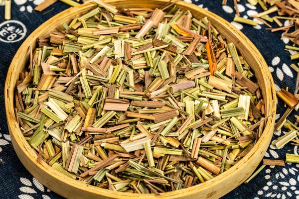 香草的功效與作用、禁忌和食用方法