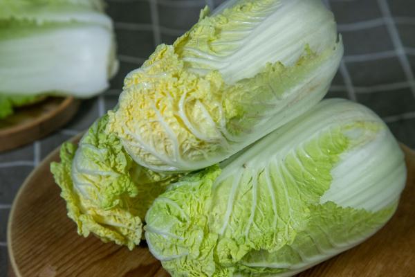 娃娃菜的功效與作用、禁忌和食用方法-易網健康<a href=http://m.henggaotouzi.com/jkys/ target=_blank class=infotextkey>養生</a>網 娃娃菜的功效與作用、禁忌和食用方法