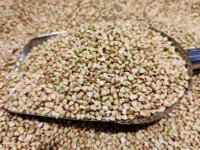 蕎麥茶的功效與作用、禁忌和食用方法