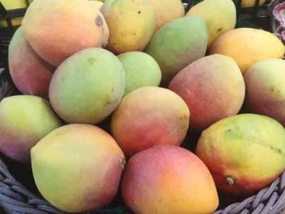 痛風(fēng)能不能吃芒果