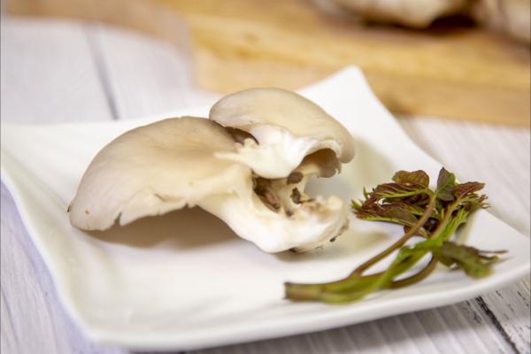 菌菇的功效與作用、禁忌和食用方法