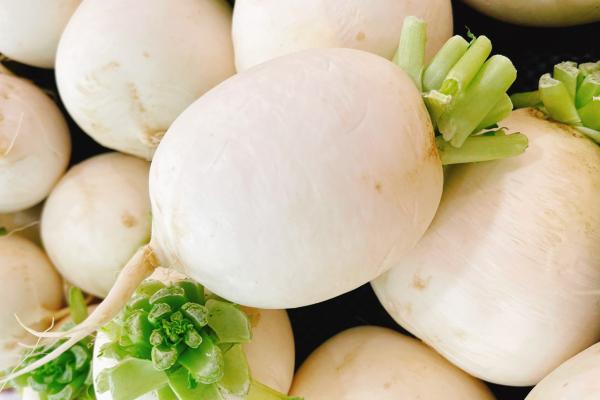 白蘿卜怎么做好吃