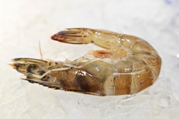 蝦的功效與作用、禁忌和食用方法-易網(wǎng)健康<a href=http://m.henggaotouzi.com/jkys/ target=_blank class=infotextkey>養(yǎng)生</a>網(wǎng) 蝦的功效與作用、禁忌和食用方法