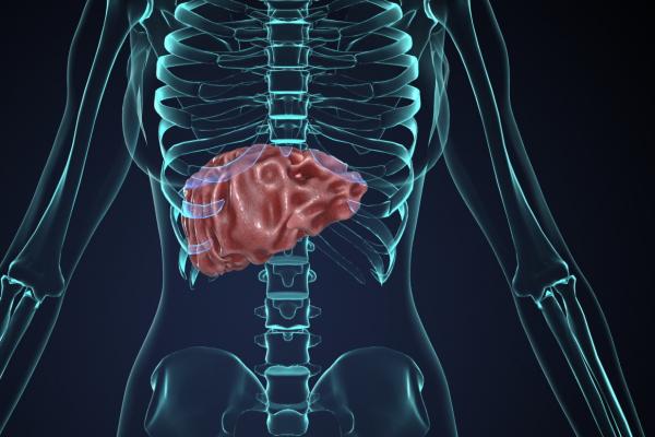 肝硬化能吃羊肉嗎