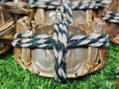 大閘蟹可以和羊肉一起吃嗎