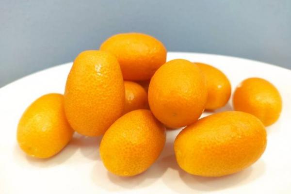 金桔的功效與作用、禁忌和食用方法