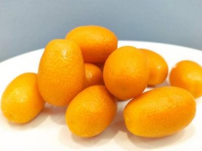 金桔的功效與作用、禁忌和食用方法