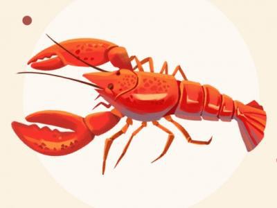 龍蝦的功效與作用、禁忌和食用方法