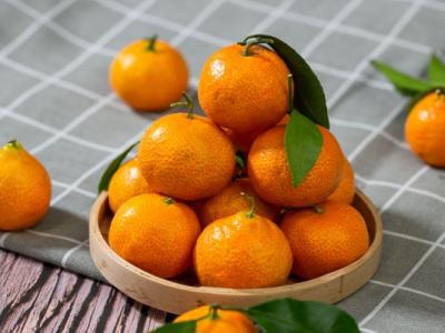 羊肉和桔子能一起吃嗎