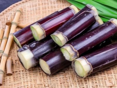 甘蔗吃多了會不會上火