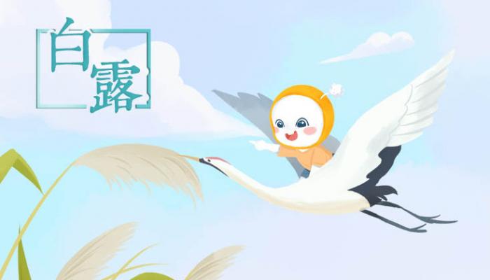 白露節(jié)氣氣溫有什么特點(diǎn) 白露節(jié)氣生活注意事項(xiàng)-易網(wǎng)健康<a href=http://m.henggaotouzi.com/jkys/ target=_blank class=infotextkey>養(yǎng)生</a>網(wǎng) 白露節(jié)氣氣溫有什么特點(diǎn) 白露節(jié)氣生活注意事項(xiàng)