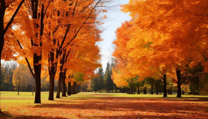 白露節氣晝夜溫差特點是啥 白露晝夜溫差的影響-易網健康<a href=http://m.henggaotouzi.com/jkys/ target=_blank class=infotextkey>養生</a>網 白露節氣晝夜溫差特點是啥 白露晝夜溫差的影響