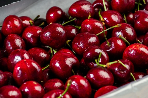 車厘子對皮膚的保養效果如何-易網<a href=http://m.henggaotouzi.com/ target=_blank class=infotextkey>健康養生</a>網 車厘子對皮膚的保養效果如何