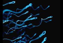 精子健不健康，看這4點(diǎn)就知道了！不用看醫(yī)生，在家就能自測