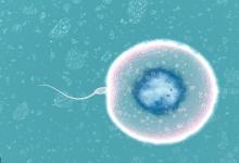 8大影響精子的因素，你知道嗎？