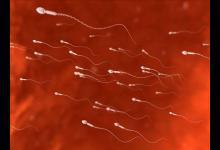 夫妻生活進行時男性出血的原因