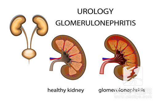 腎跟性功能有關系嗎