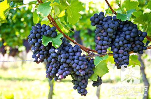 面對這種“挑釁”男人竟會沉迷 