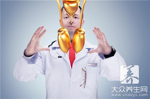 空虛寂寞冷的你更需要它的陪伴 