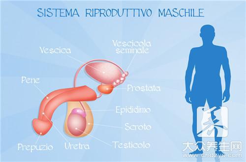 什么叫體外受精