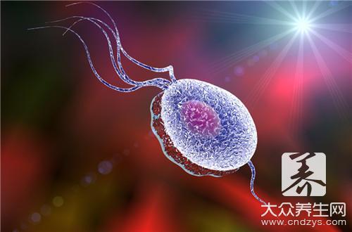 夫妻纏綿這兩個字才是王道 