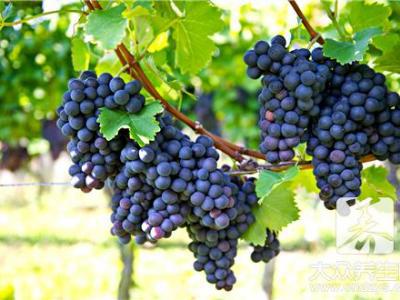 面對這種“挑釁”男人竟會沉迷