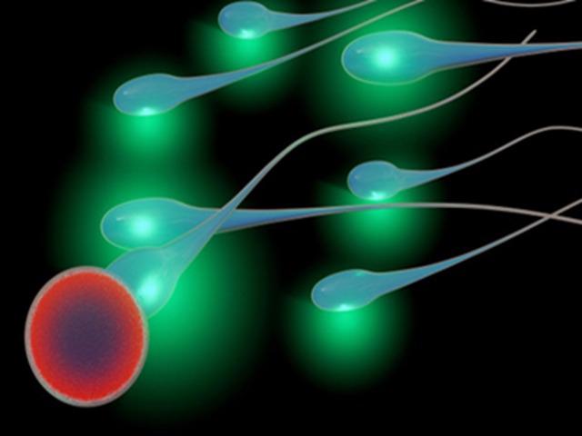 老公精子不液化怎么和我生孩子 老公精子不液化怎么和我生孩子