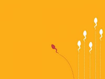 老公不行？精子質量標準用什么來衡量