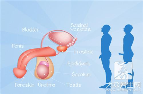 一次高危感染尖濕幾率 一次高危感染尖濕幾率