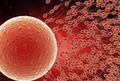 五十五女性如何提高受孕率？高齡產婦備孕前準備有哪些