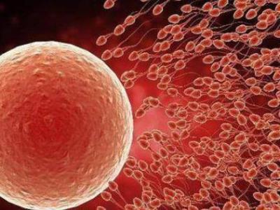 五十五女性如何提高受孕率？高齡產婦備孕前準備有哪些