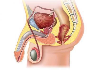 男性遺精早泄按哪個穴位 男性遺精早泄者可以按摩4個穴位