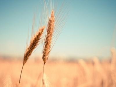 來看一看！男生會唱哪些歌是表白時(shí)的加分項(xiàng)