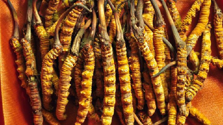 男性吃冬蟲夏草可以壯陽嗎 冬蟲夏草該怎么吃壯陽效果最佳-易網健康<a href=http://m.henggaotouzi.com/jkys/ target=_blank class=infotextkey>養生</a>網 男性吃冬蟲夏草可以壯陽嗎 冬蟲夏草該怎么吃壯陽效果最佳