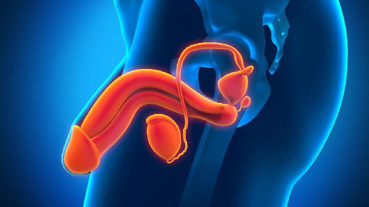 男性陰莖中線囊腫是怎么回事 男性陰莖中線囊腫的4個診斷要點