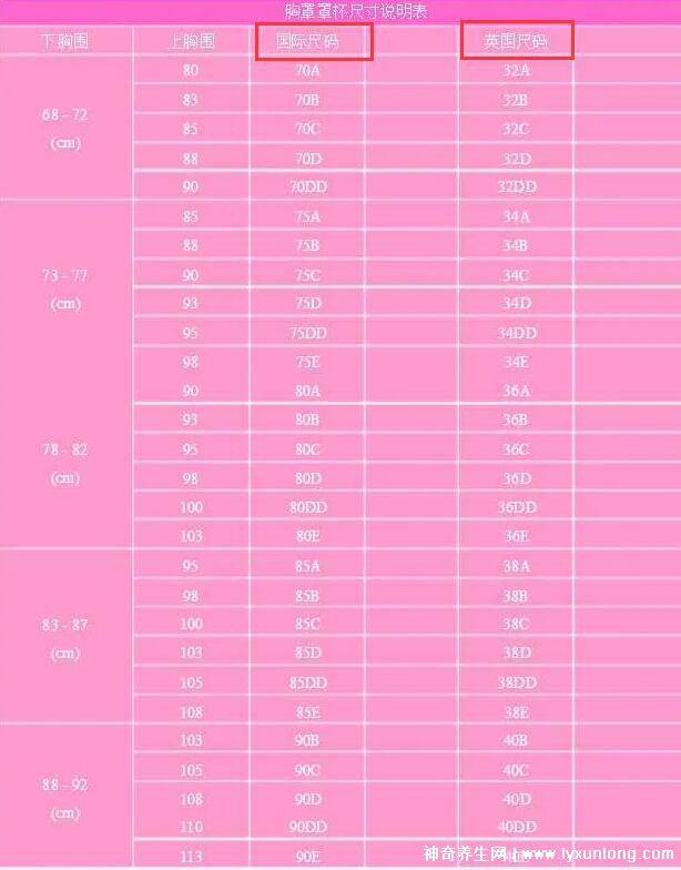 胸圍尺寸尺碼對(duì)照表，女生標(biāo)準(zhǔn)罩杯ABCD尺碼表(附測(cè)量方法)