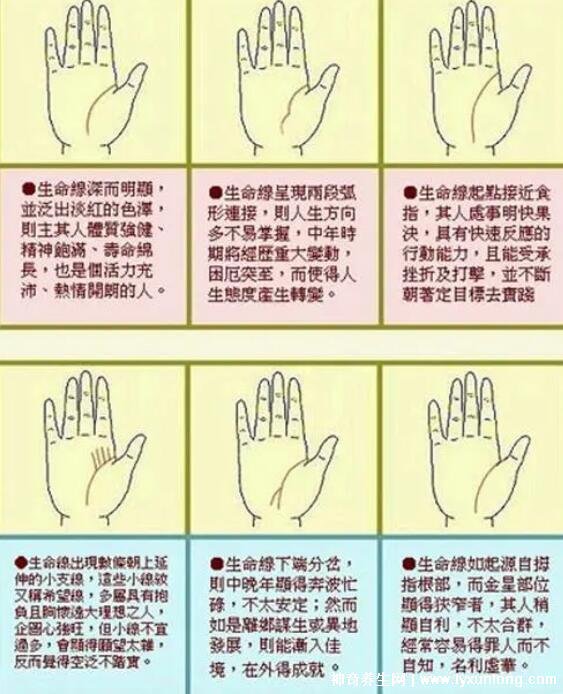 掌紋圖解女右手詳解，女人右手掌紋圖解算命(有財運線大富大貴)