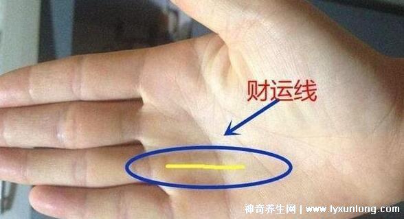 掌紋圖解女右手詳解，女人右手掌紋圖解算命(有財運線大富大貴)